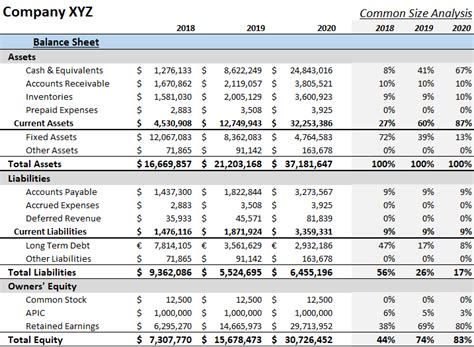 What Is A Common Size Balance Sheet 365 Financial Analyst