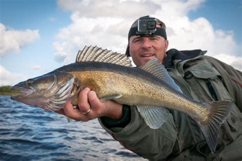 Fishing Seasons in Canada Guide | Big Sand Lake Lodge