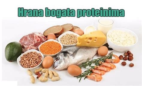 Šta su proteini i koja je njihova osnovna uloga u organizmu? Proteini ...