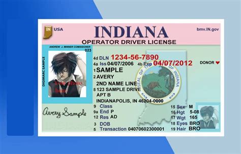 Indiana Drivers License Psd Template Download Photoshop File