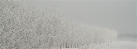 Reto Acnur Y Fotocasa Ay Danos A Hacer El Invierno En Los Hogares De