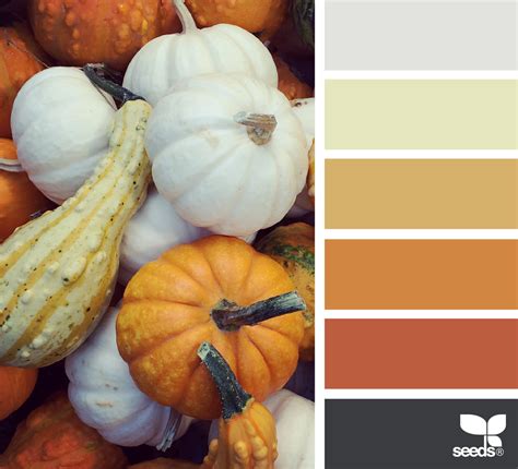 Autumn Hues Design Seeds Color Schemes Color Inspiration