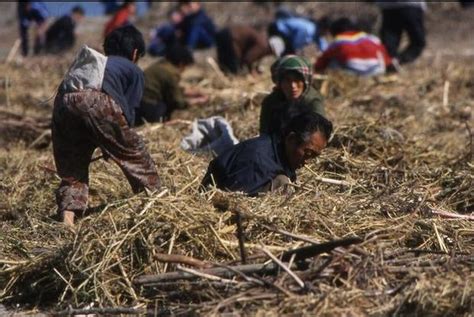 實拍：朝鮮農村，區別於大都市的落寞 每日頭條