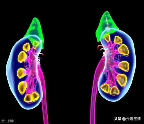 尿毒症是腎功能喪失90 以上，以下症狀出現一種，快去檢查吧 每日頭條