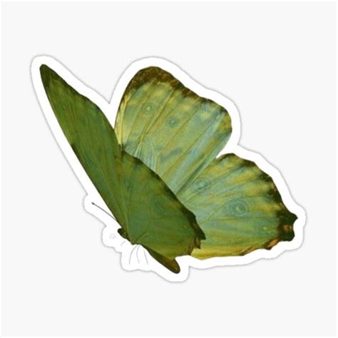 Green Butterfly Sticker Sticker For Sale By Saturnirl Redbubble