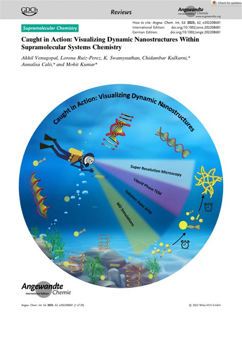 Pdf Caught In Action Visualizing Dynamic Nanostructures Within