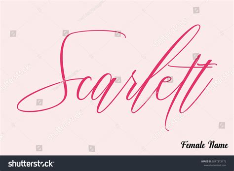 Scarlettfemale Name Calligraphy Cursive Dork Pink เวกเตอร์สต็อก ปลอด