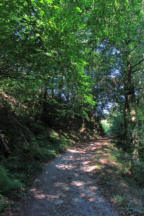 Jakobus Wald Weg Steine Bernd Brang Flickr