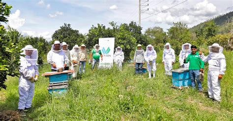 Vraem Apicultores Fortalecen Sus Capacidades En Escuelas De Campo