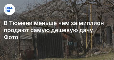 Купить дачу в Тюмени: сколько стоит самый дешевый участок, цена, район ...