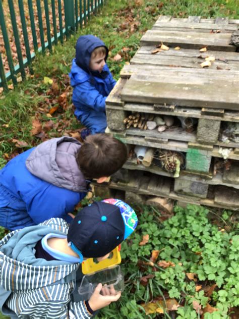 Forest School William Reynolds