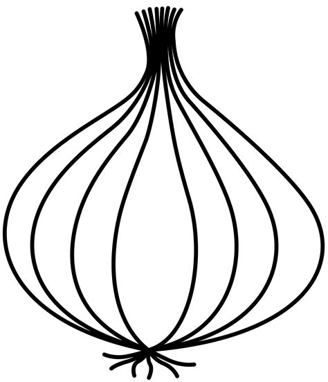 Garlic Drawing Free Download On Clipartmag