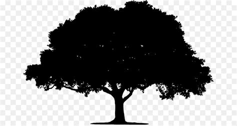 Tree Silhouette Illustration Tree Silhouette Png Clip Art Image Png