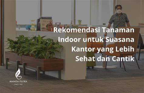 Jenis Tanaman Indoor Terbaik Untuk Ruang Kantor Mandaflora