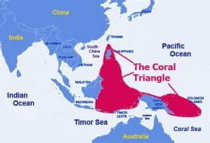 Indo-Pacific Coral Reefs | Coral Reef Information