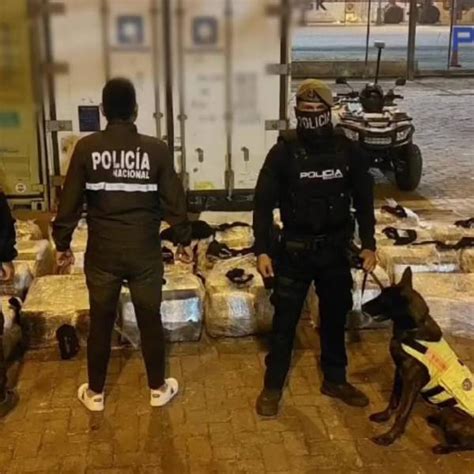 M S Droga Encontrada En Banano Toneladas Incautadas En Contenedor