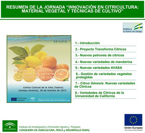 Resumen De La Jornada Innovación En Citricultura Material Vegetal Y