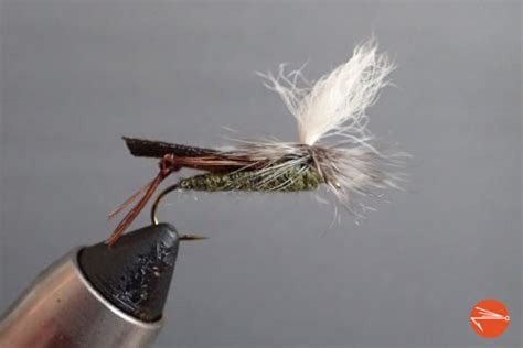 10 Best Hopper Patterns For Trout - Fly Fishing Fix