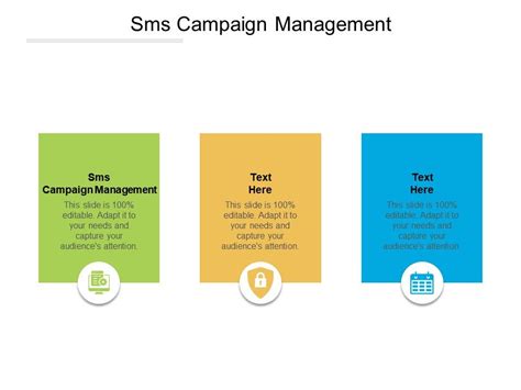 Sms Campaign Management Ppt Powerpoint Presentation Slides Slideshow