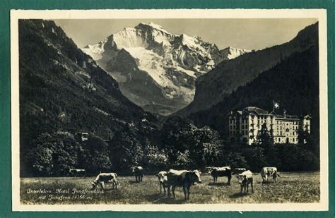 Interlaken Hotel Jungfraublick Mit Jungfrau Kaufen Auf Ricardo