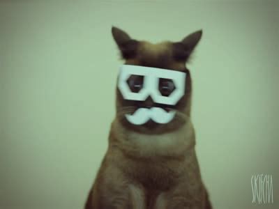 Amazing Dubstep Cat
