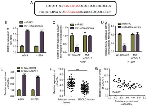 Downregulation Of Long Non‑coding Rna Gacat1 Suppresses Proliferation