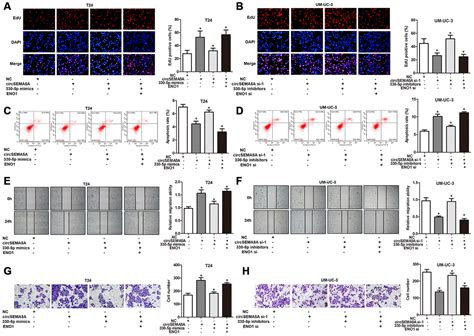 Circular RNA CircSEMA5A Promotes Bladder Cancer Progression By