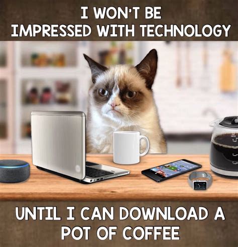 Grumpy Cat Coffee ☕️ Grumpy Cat Cat Coffee Cats