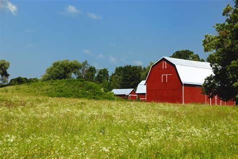 Farm animal production in Canada 