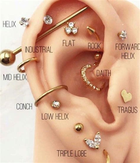 Piercing Ideas For Men