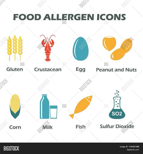 Allergen Free Vector And Photo Free Trial Bigstock