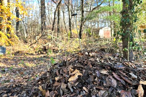 How To Speed Up A Compost Pile - 5 Easy Tips - Geeky Greenhouse