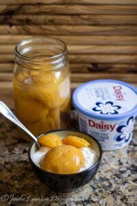 22 Perfect Daisy Cottage Cheese recipes