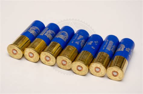 Патрон Aquila T5 Magnum, калібр 12×76, дріб 50 г (5217) – купити в ...