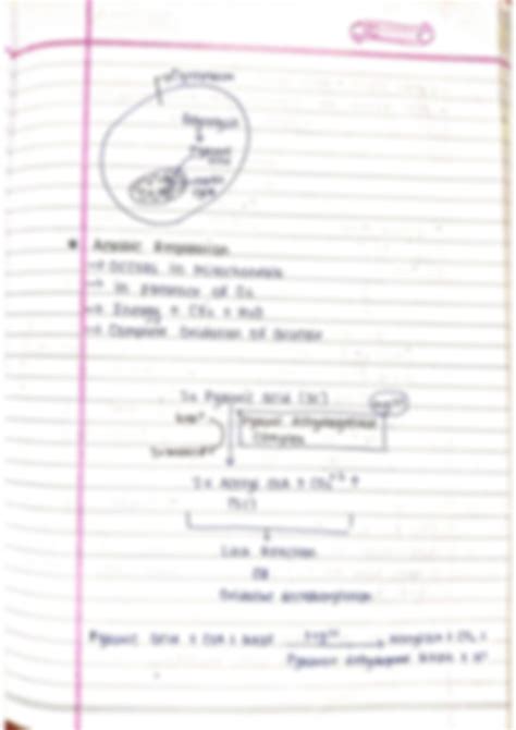 Solution Respiration In Plants Notes Biology Studypool