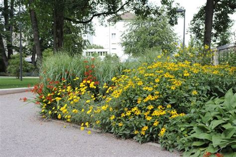 Regeneration Brühlgutpark by Krebs und Herde Landschaftsarchitekten Parks