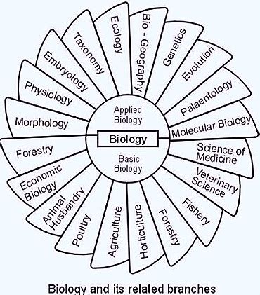 BIOLOGY BRANCHES