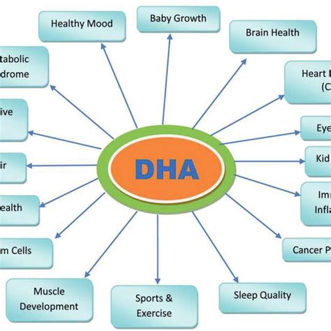 Picture showing important benefits of DHA. | Download Scientific Diagram