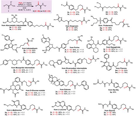 Redox Neutral Umpolung Synthesis Of Functionalized Amides Jacs Au