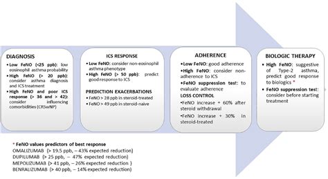 Fractional Nitric Oxide Measurement In Exhaled Air Feno Perspectives