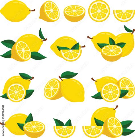 Fresh Lemon Set Illustrations Isolated On White Background ZIP File