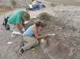 Being a Paleontologist - Paleontology