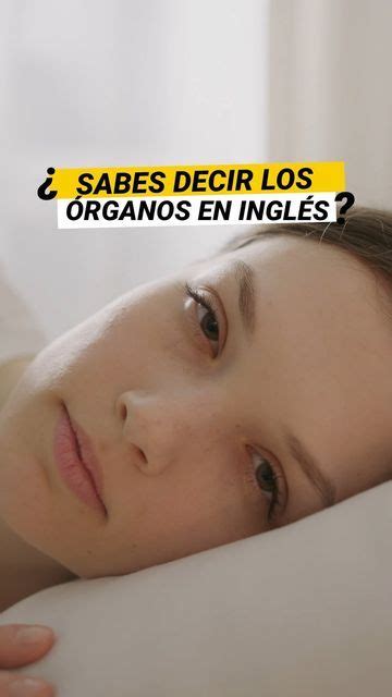 Espeakenglish On Instagram Los Rganos En Ingl S Cu Ntos Te Sabes