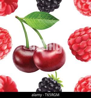 Blackberry And Raspberry Seamless Pattern 3d Realistic Vector Berries