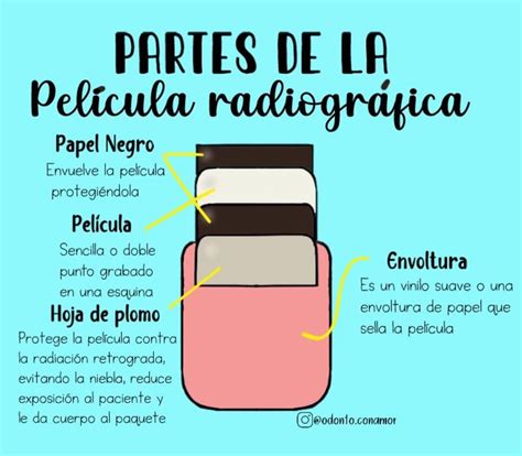 Odonto Con Amor En Instagram Partes De La Pel Cula Radiogr Fica