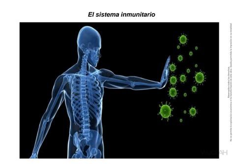 SOLUTION Biolog A 2 Bach Sistema Inmunitario Studypool