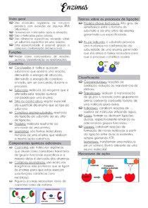 Enzimas Enzimas Bioqu Mica Resumo