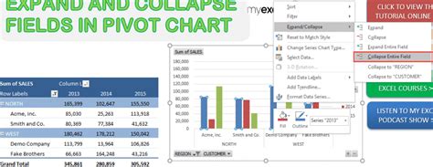 Expand And Collapse Fields In Pivot Chart Myexcelonline