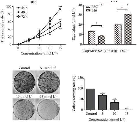 The Inhibitory Effect Of Cu PMPP SAL EtOH On The Proliferation Of