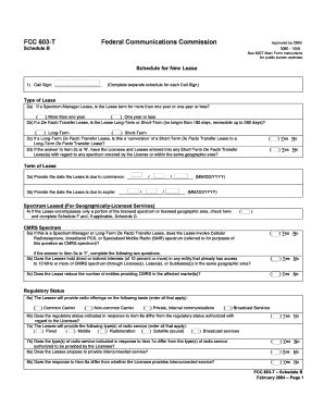 Fillable Online Ftp Fcc FCC Document 603t B Wo Ins Pdf FTP Explorer